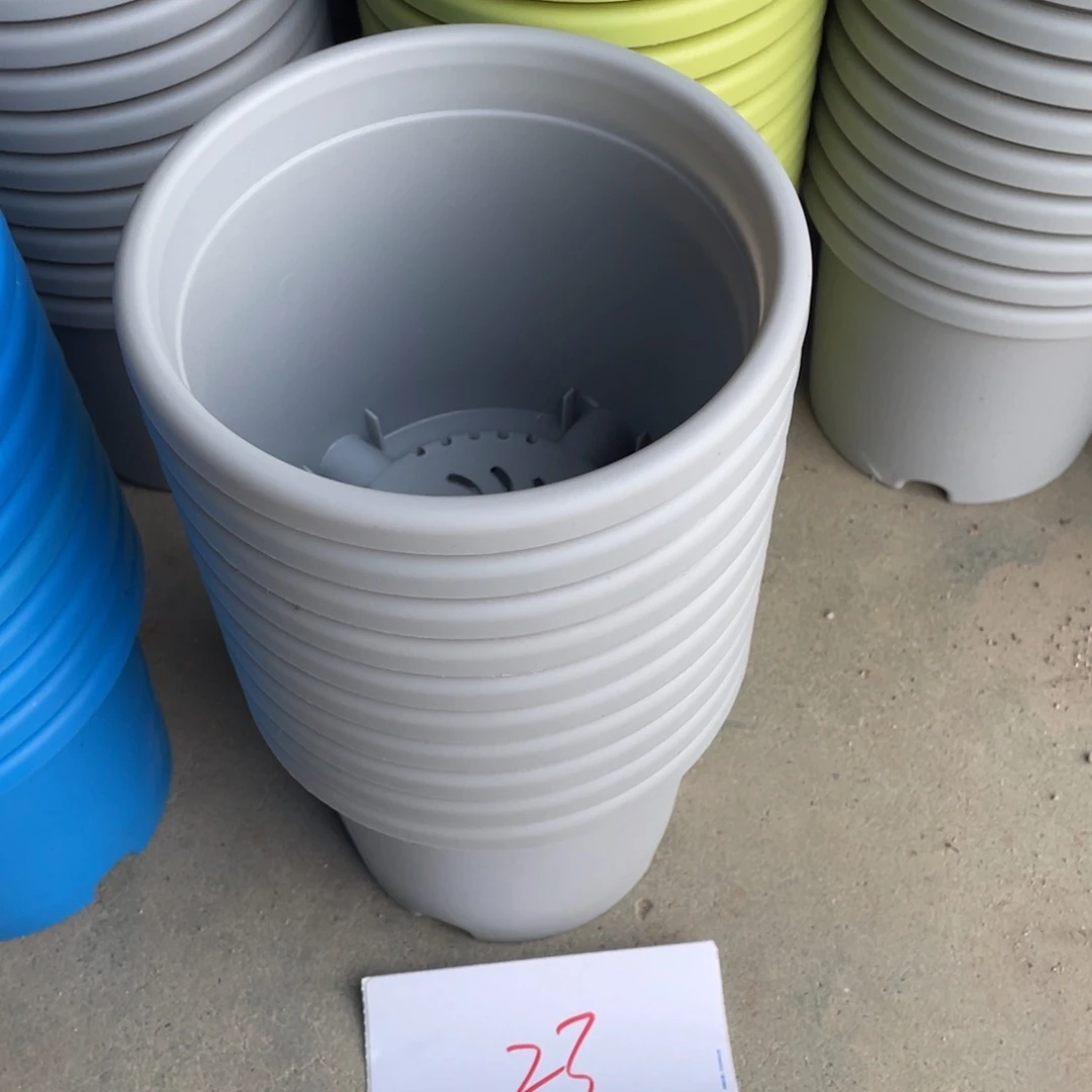 编号是23号的23号的
