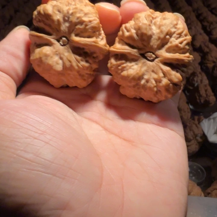 驰***下文玩核桃吊坠蛤蟆的眼睛是真的好看