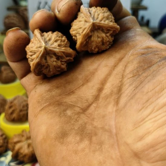 用***9核桃盘山三棱核桃32