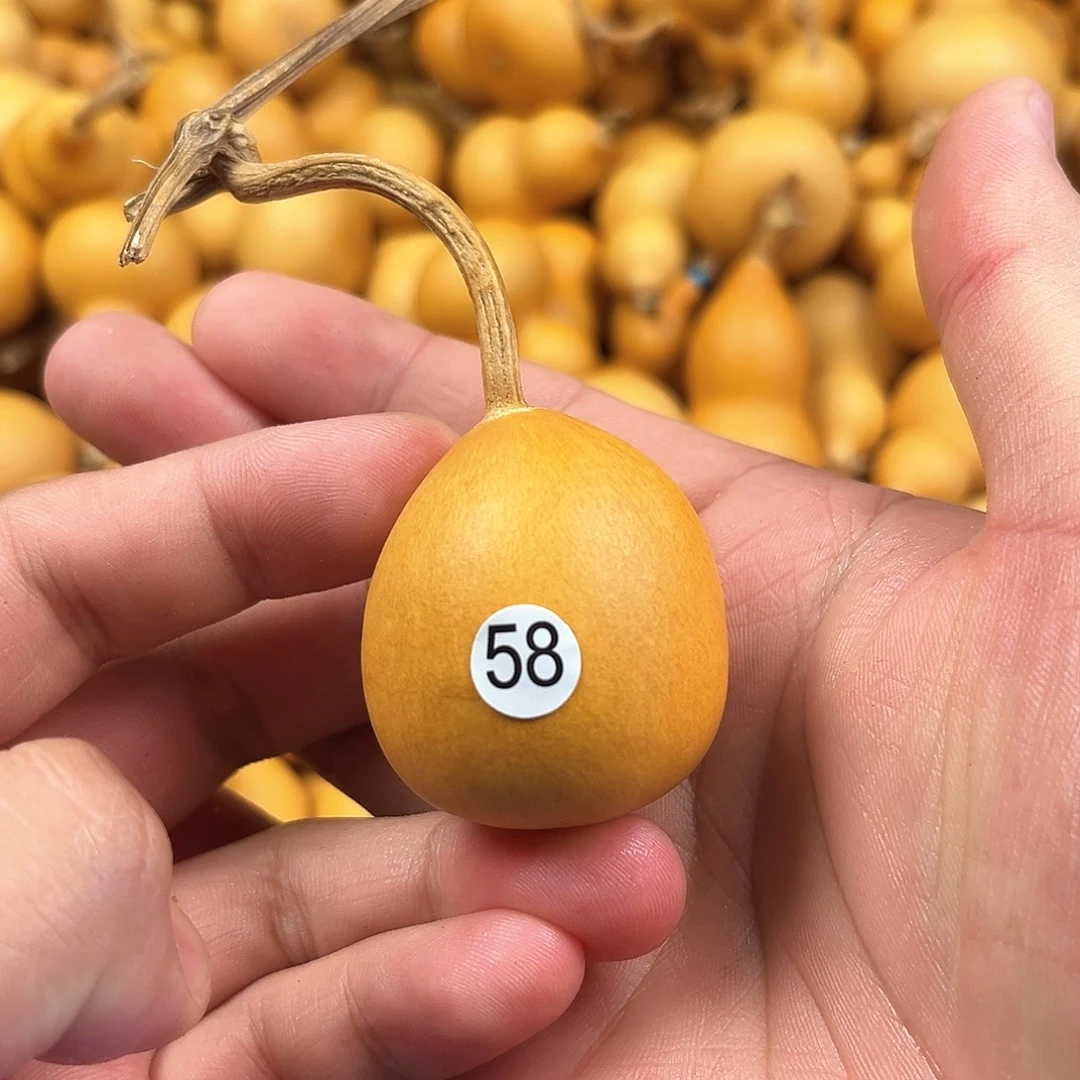 一葫芦葫芦葫芦葫芦58
