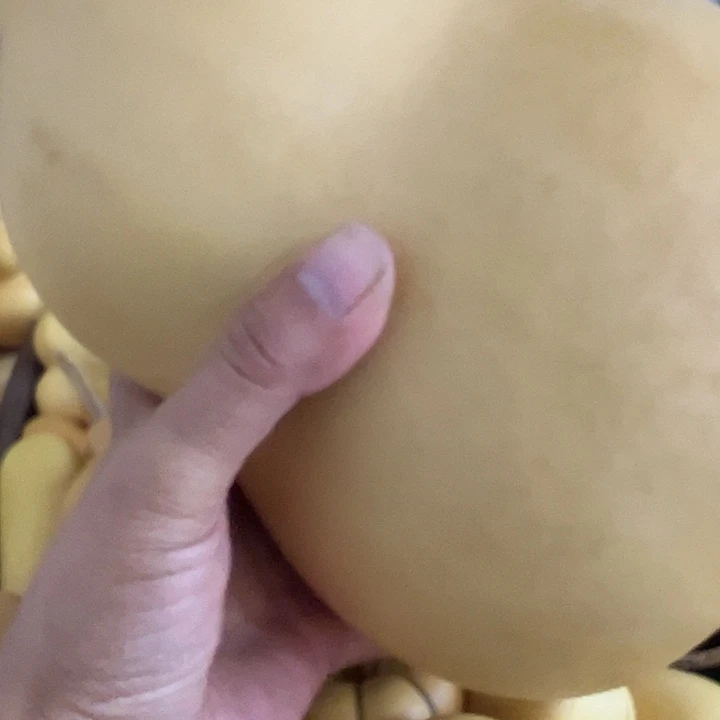 中号连花头葫芦芦