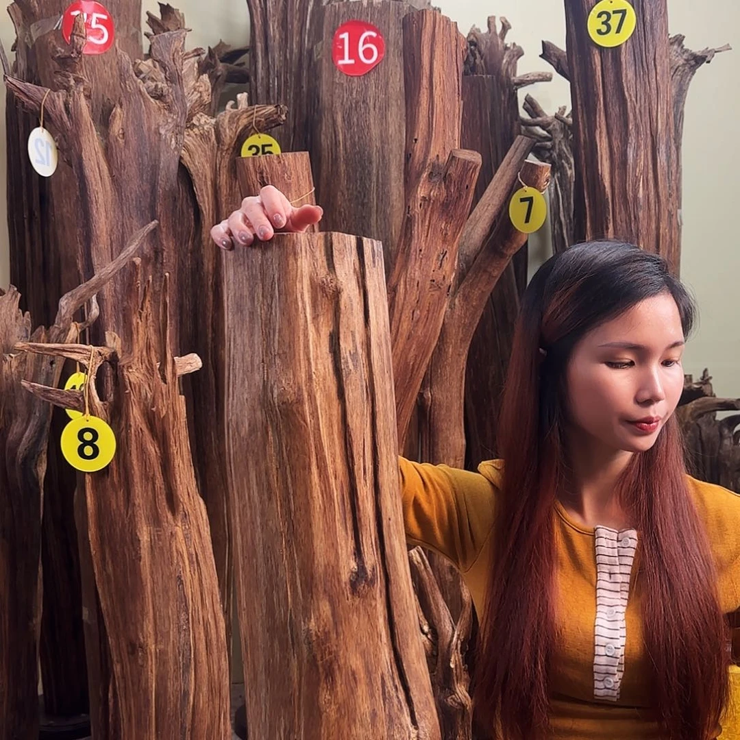 沉香碎屑沉香天然沉香原材料香料熏料