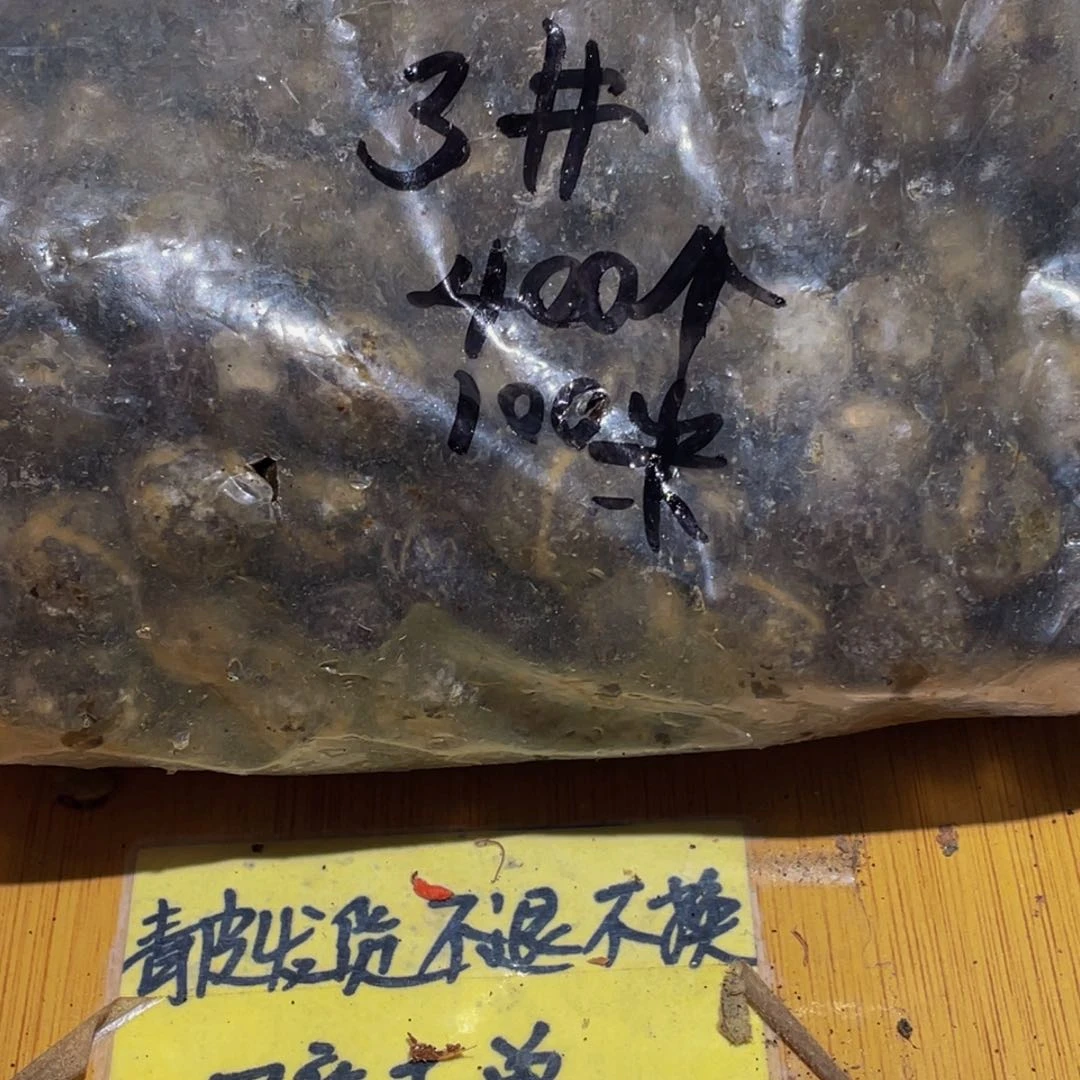 *****桃核吊坠桃核散子
