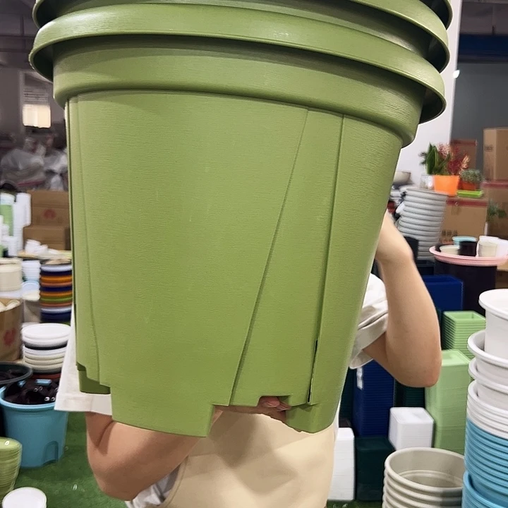 青山口40高34果绿无托3个