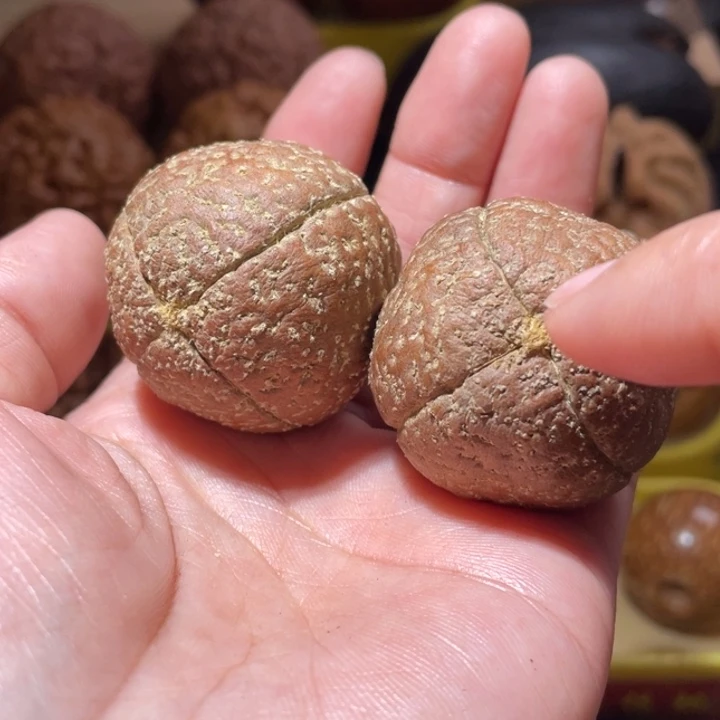 桃核把件四瓣黑金无相金刚菩提