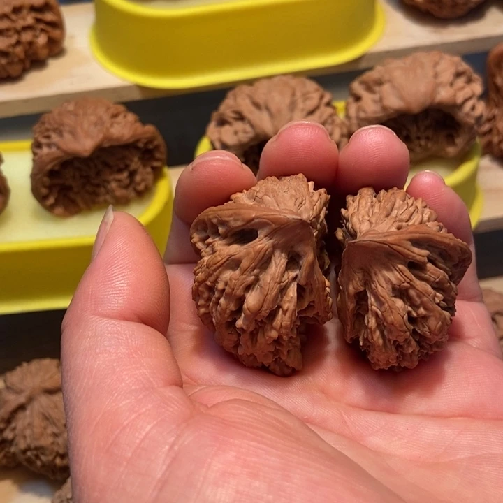 官方网站发布消息