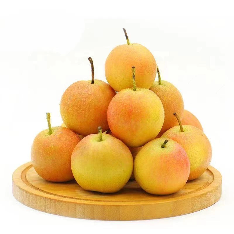 鞍山南果梨新鲜应季水果酒香软糯薄皮多汁包邮