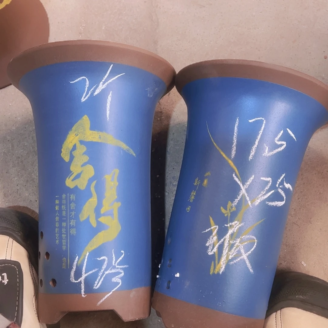 紫砂42……………………………………