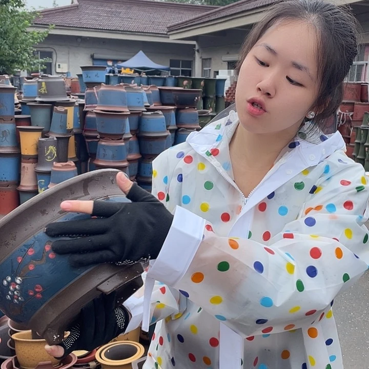 蓝富贵点彩大花盆