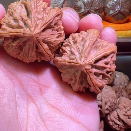 土豪级龙首灯笼41边42高