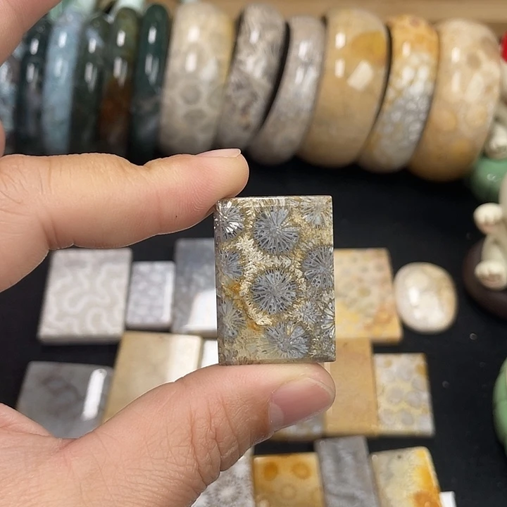 硅化珊瑚（珊瑚玉）未镶嵌吊坠(不含链)