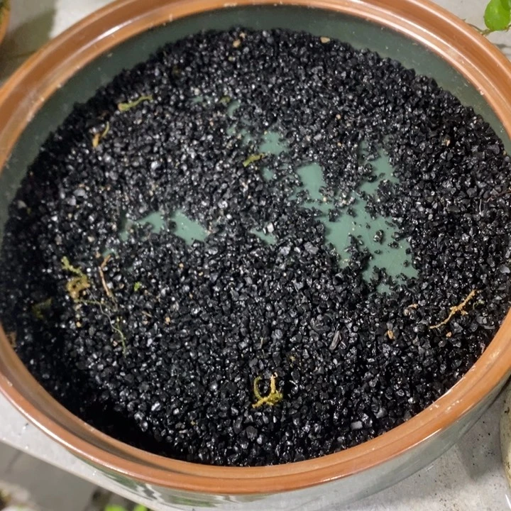 C退款拉黑一物一拍190