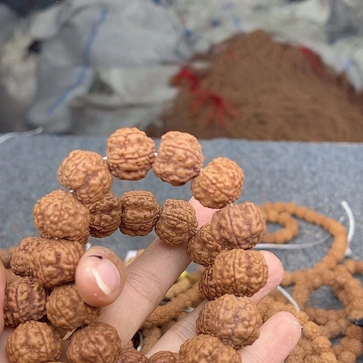 闹***儿金刚菩提手串谢谢