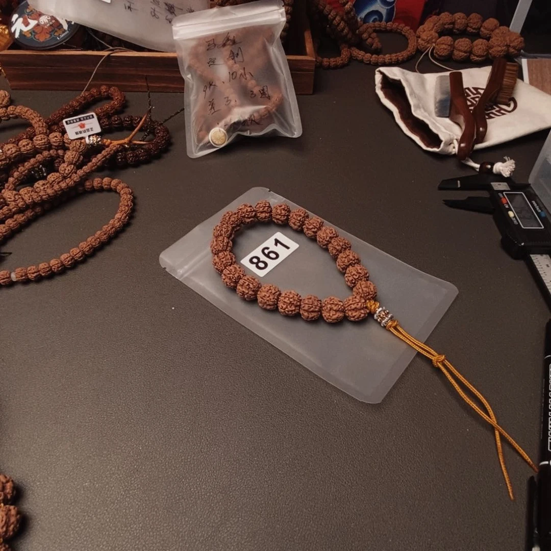 手串金刚菩提哦哦哦哦哦哦哦哦哦哦哦哦哦