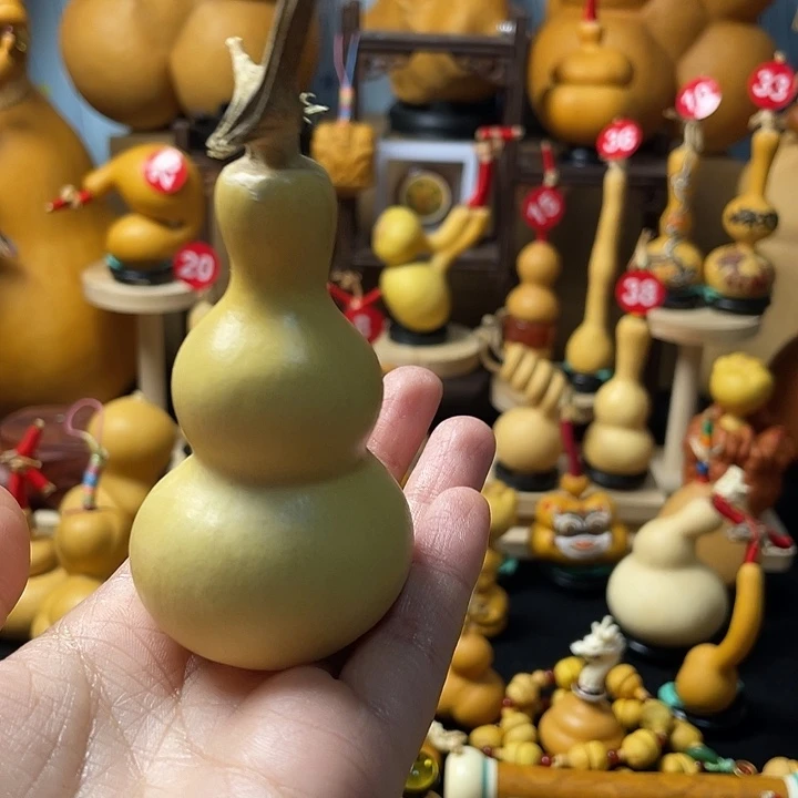 *****葫芦岛连山湖公园里有你