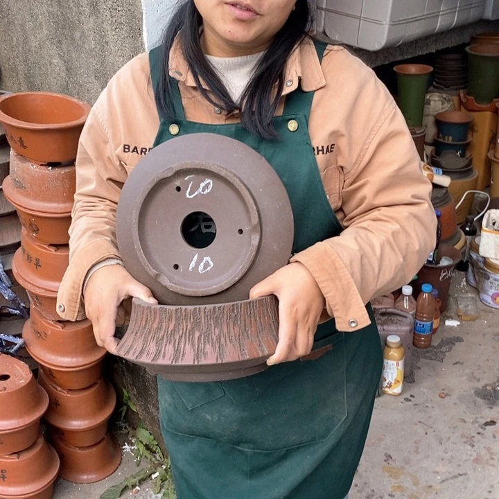 紫砂花盆盆栽花卉苗木种植