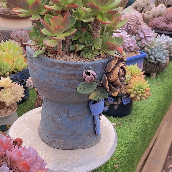 欧***月带盆哈哈哈哈哈哈哈哈哈哈哈