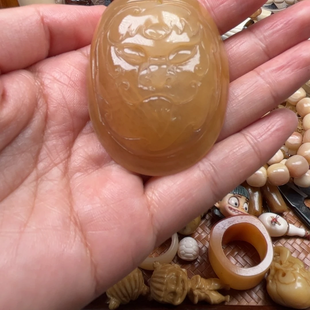 其他鹿骨人工养殖驼骨19