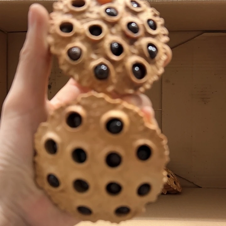 柏木把***风我们的生活也是如此