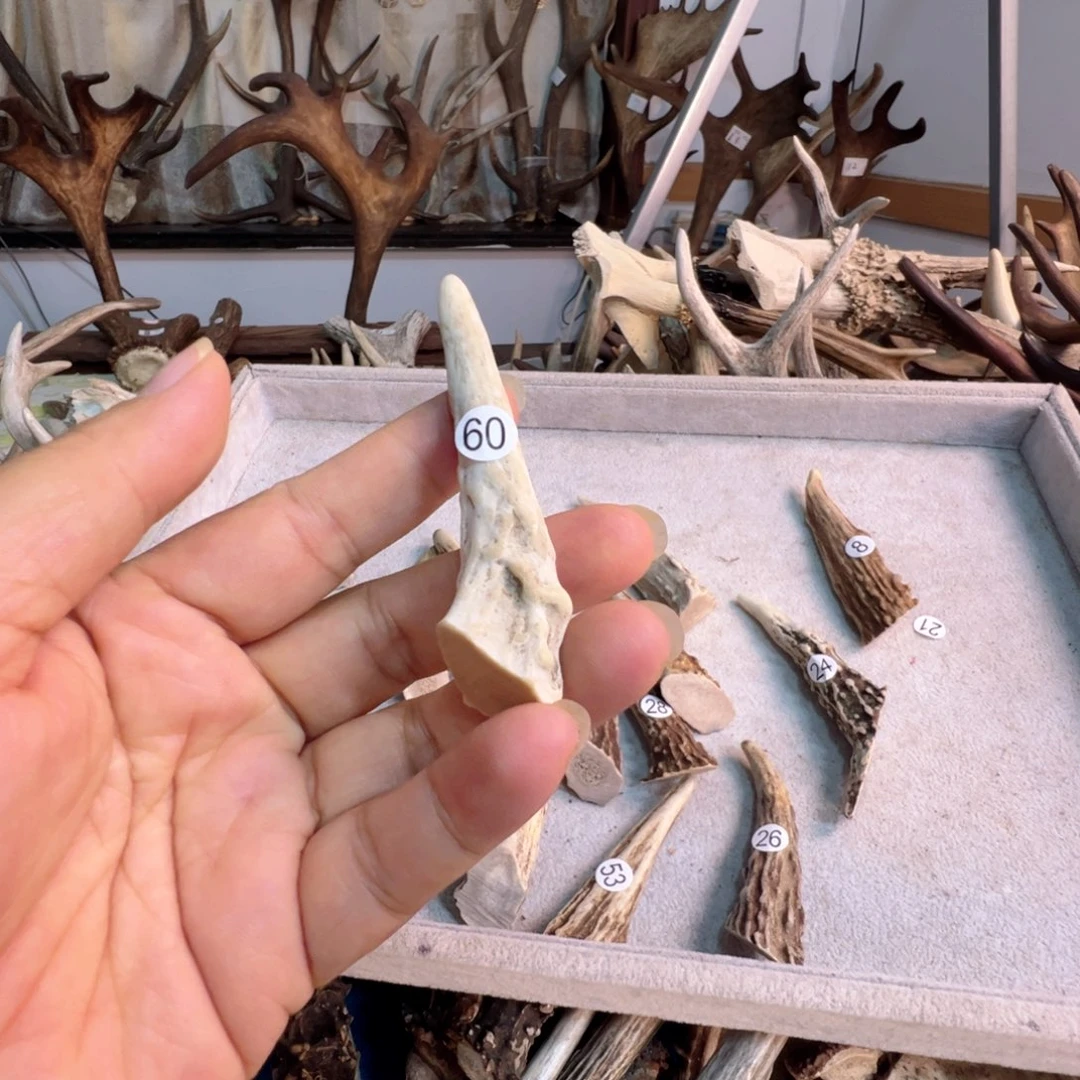 手串/手链鹿骨鹿角鹿骨