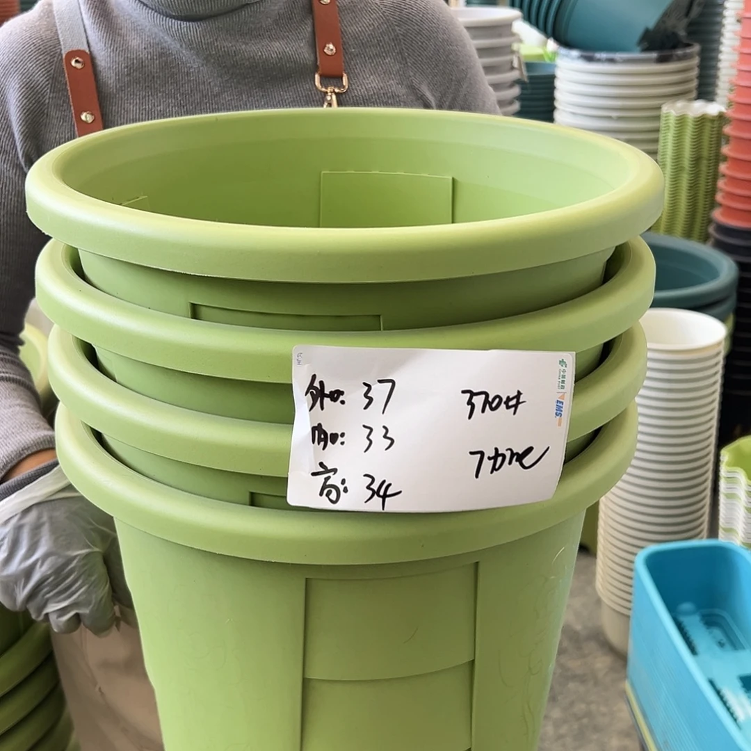 玫瑰370#果绿色4个无托