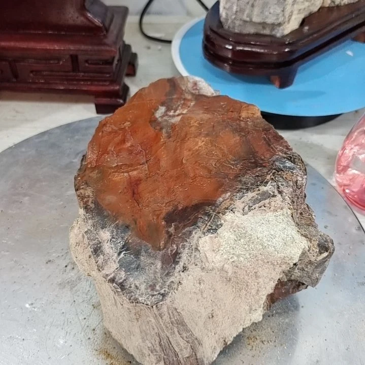 明***月石材新疆奇台硅化木 木化石，树化石，树化玉。