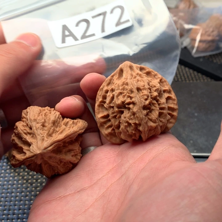 吊坠文玩核桃马蹄