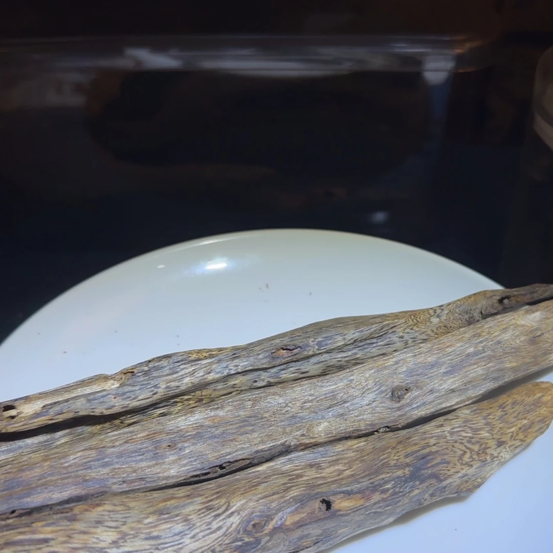 沉香碎屑沉香白露虫漏树心油102克