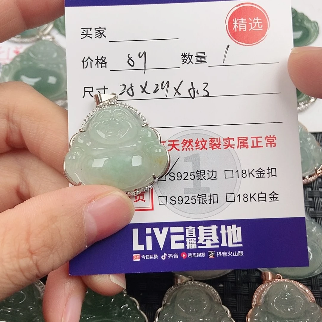 翡翠银S925镶嵌颈饰