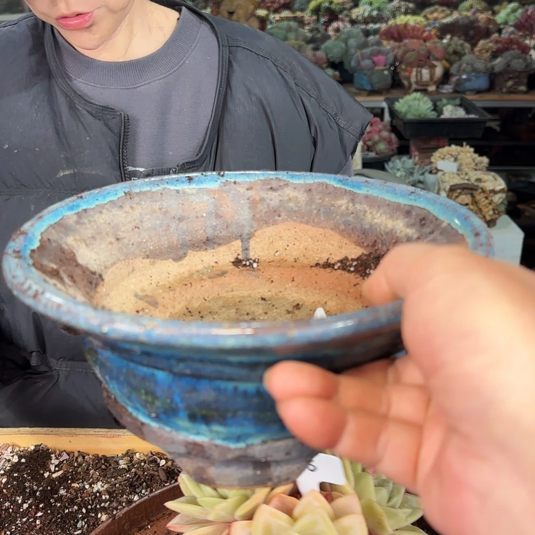 ?*148号盆68         盆