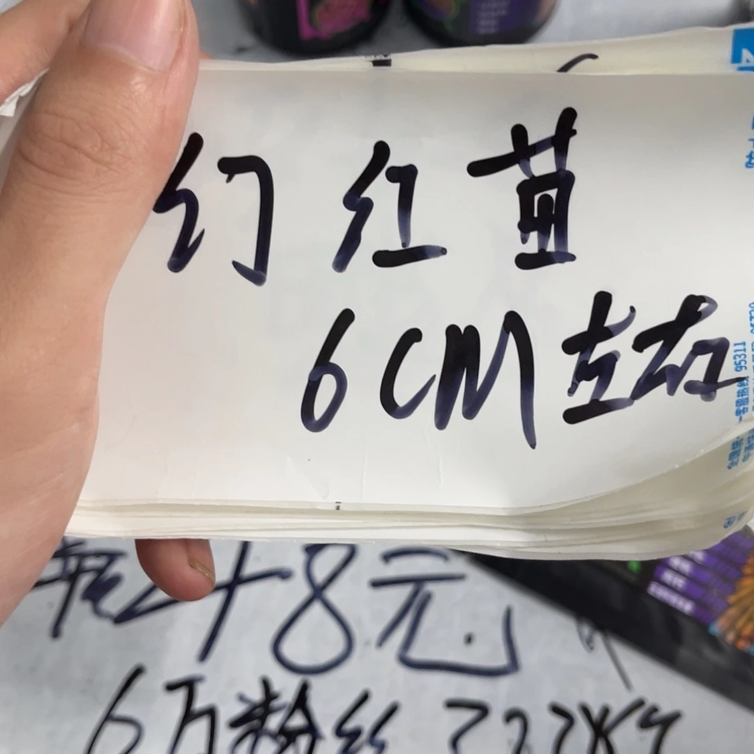 雷龙鱼幻红11111111