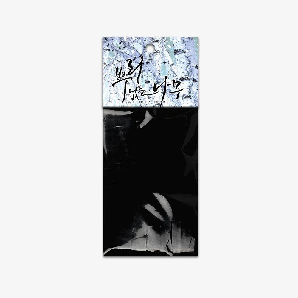 【小妍杂货铺】无根树随机卡 1单包邮 下单默认已看详情页