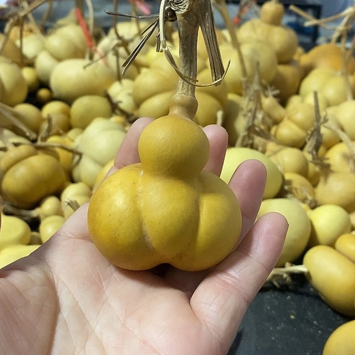 葫芦的颜色很好看