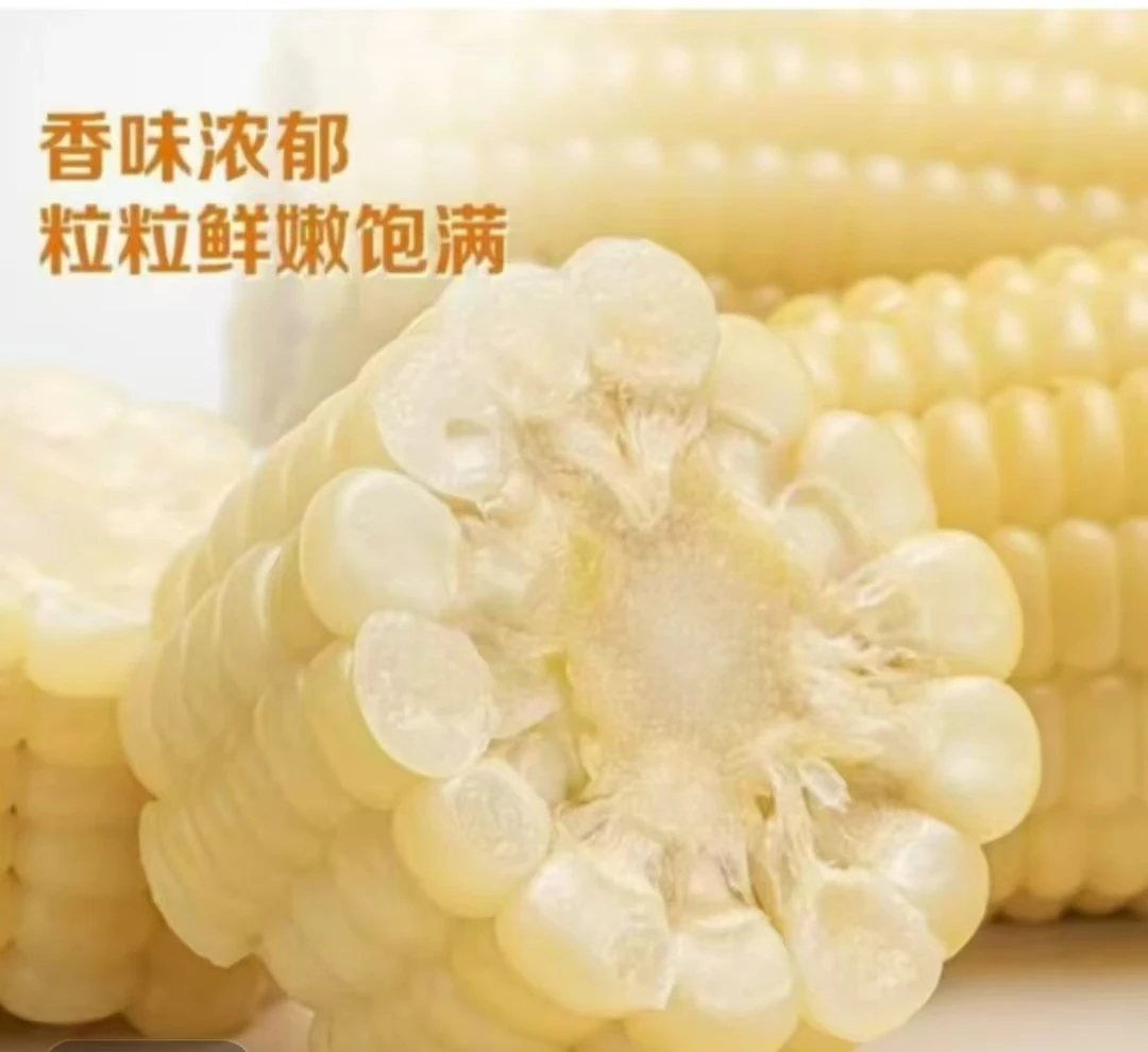 粗粮东北白糯玉米段 16个*150g  5-5.5斤 软糯香甜 东北粘苞米