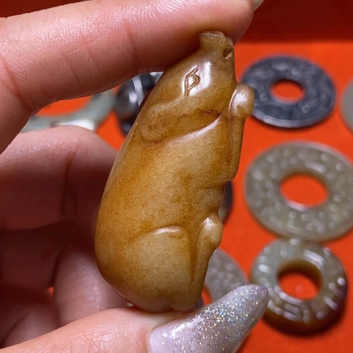 小动物。。。。。。。。。。。。。。。