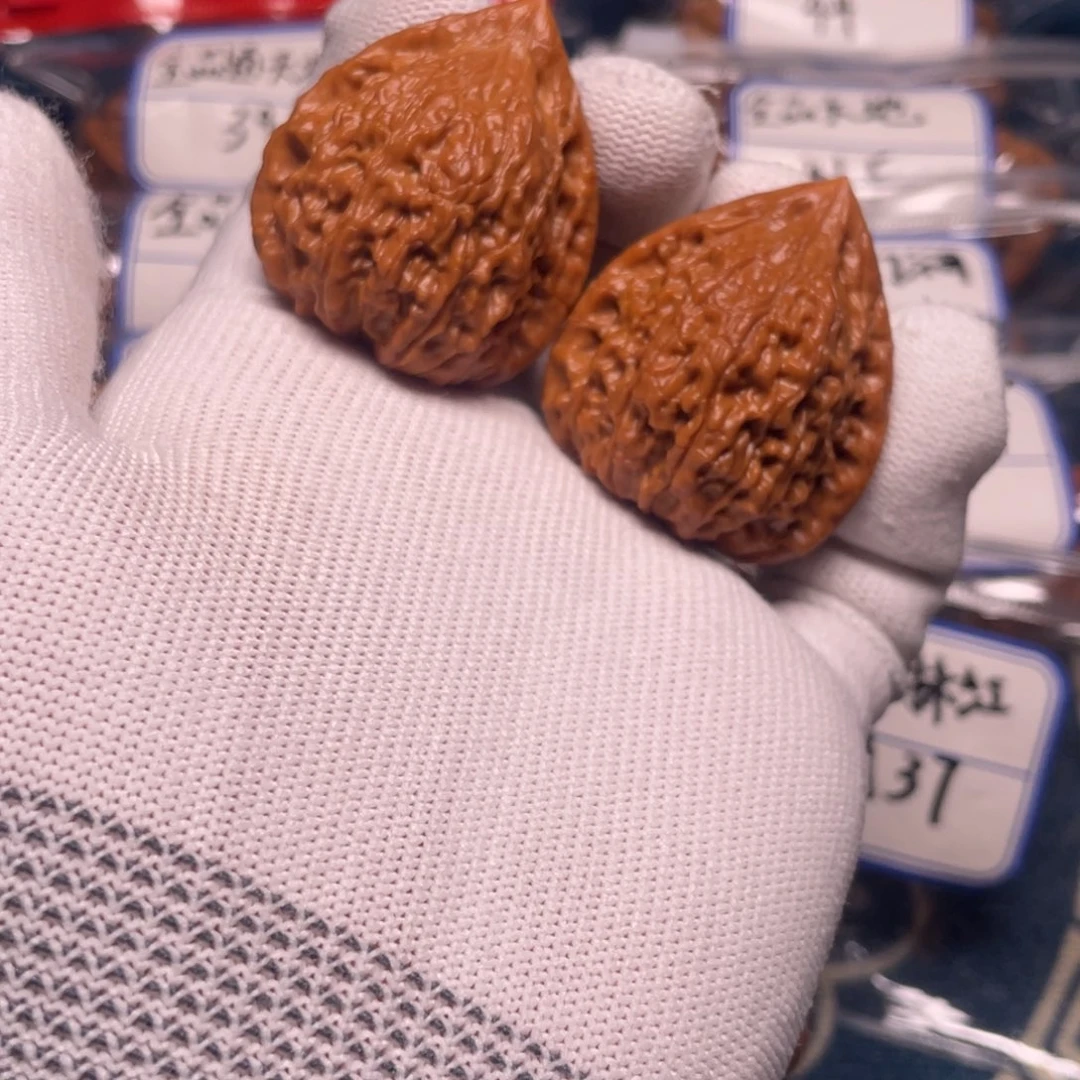 八**孑37蛇王！！！！！！！！！！！！