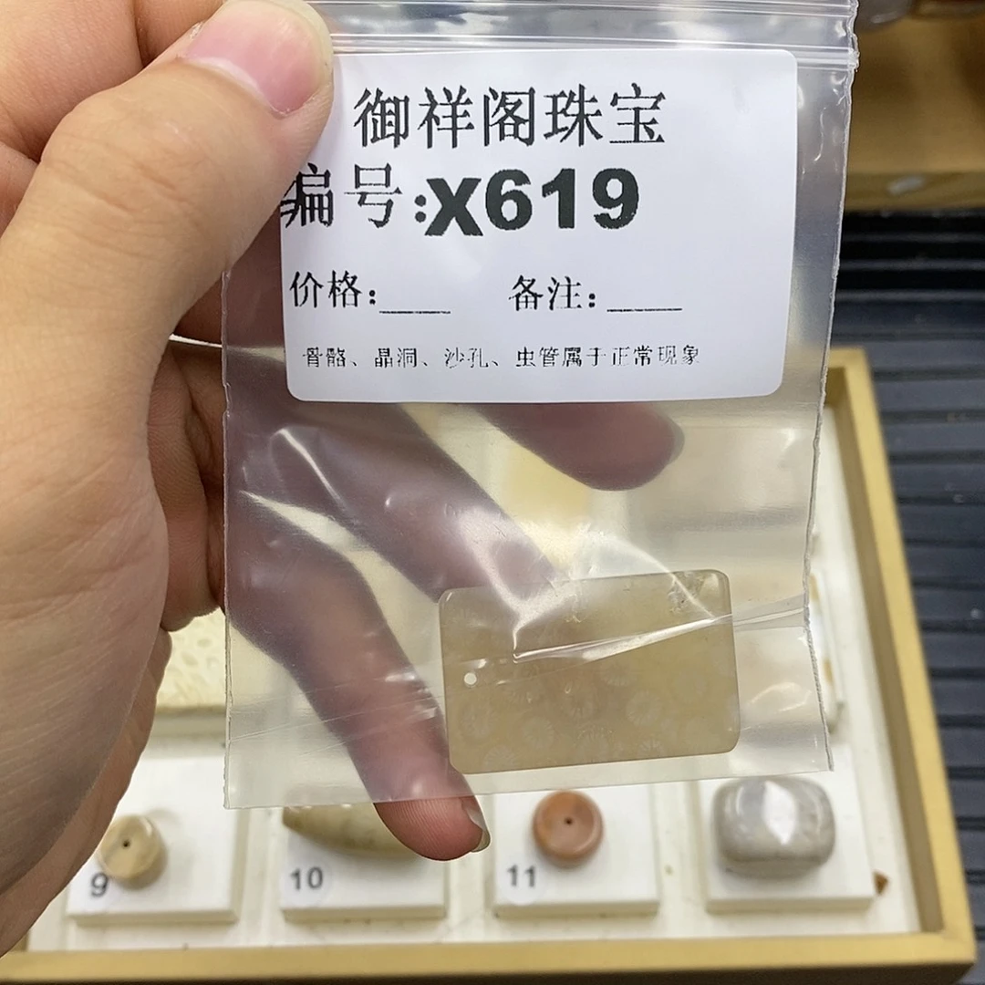 硅化珊瑚（珊瑚玉）未镶嵌颈饰金***春