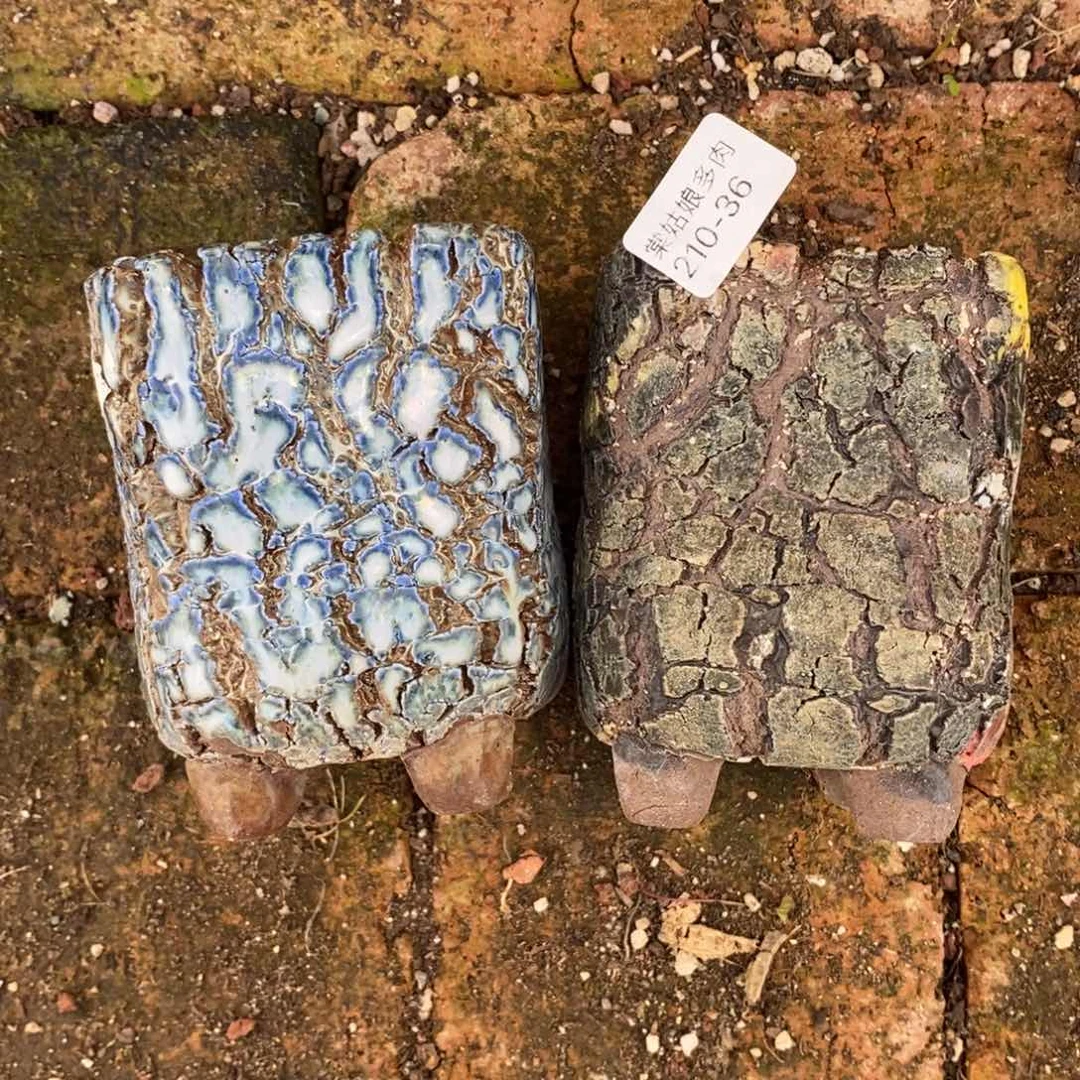 36号多肉盆两个组合