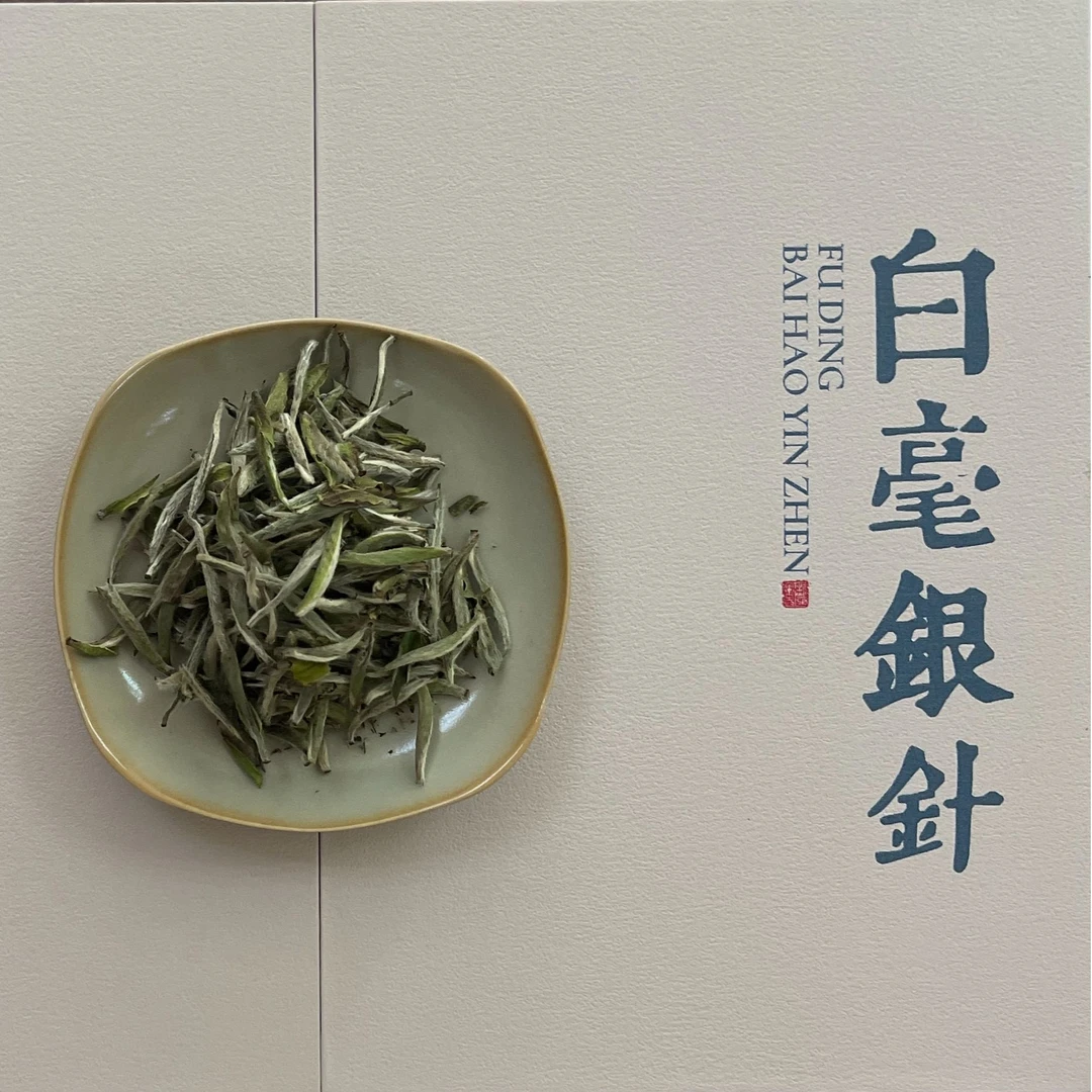 福建白茶白毫银针