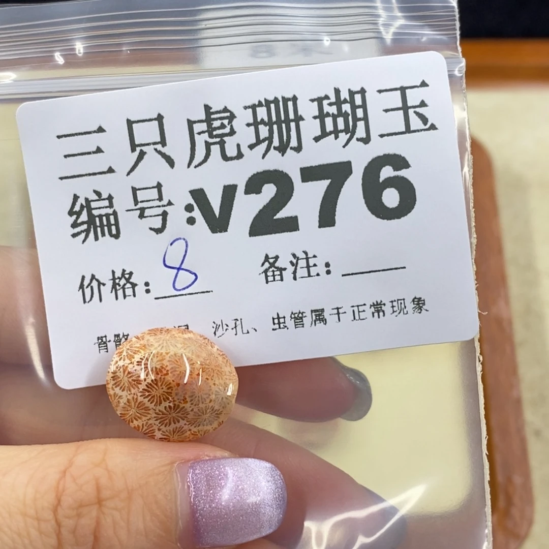 硅化珊瑚（珊瑚玉）未镶嵌1木***?