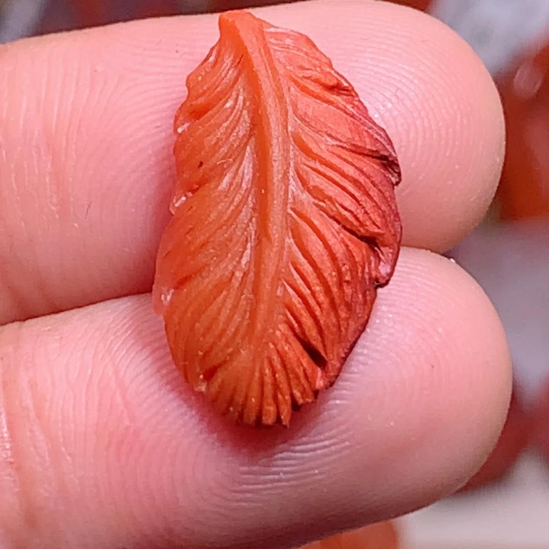 南红玛瑙未镶嵌南红羽毛
