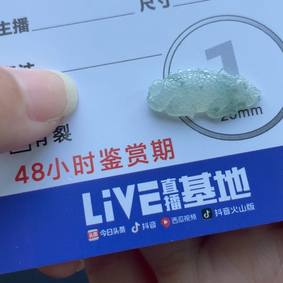 颈饰未镶嵌翡翠蜥蜴