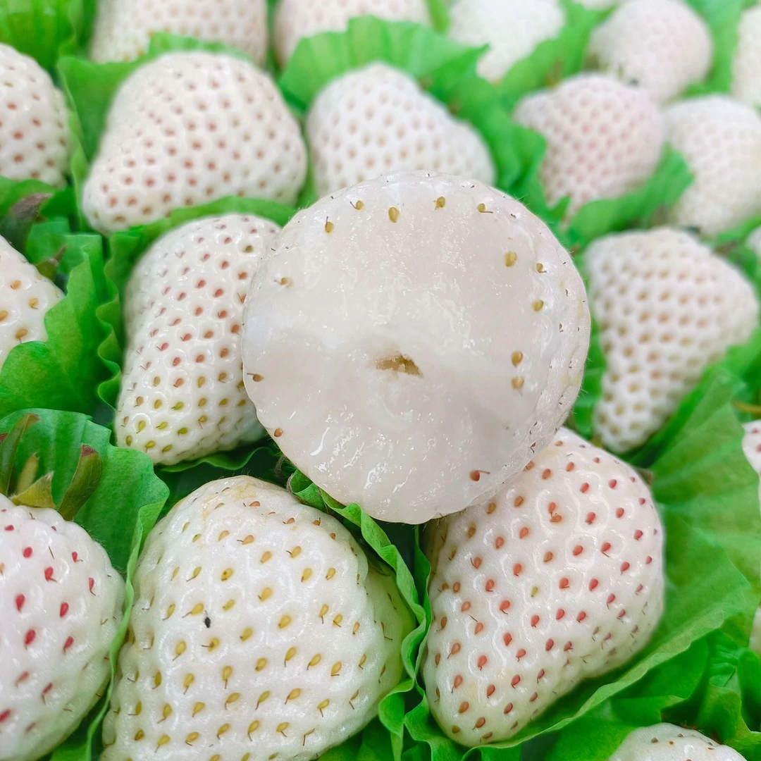 白雪公主草莓水果姐（仅限长春）