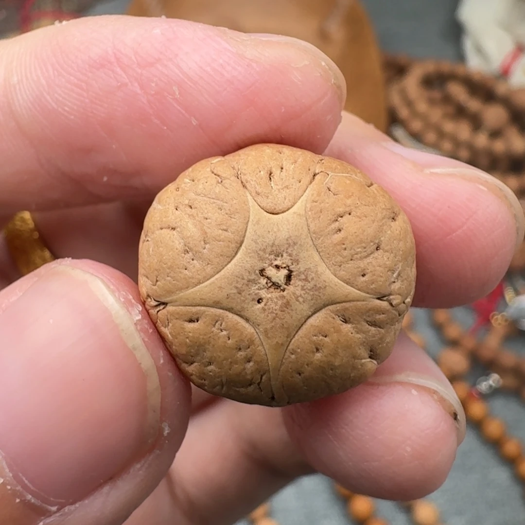 凤眼菩提吊坠19/13.8二茬五星