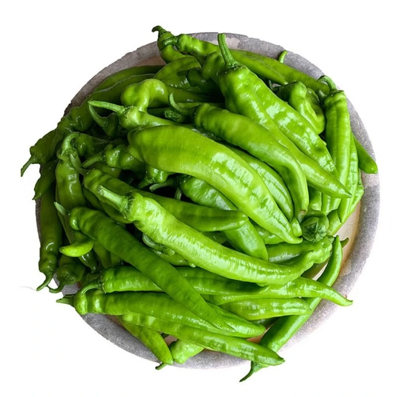 精选辣妹子辣椒 300g±20g/份