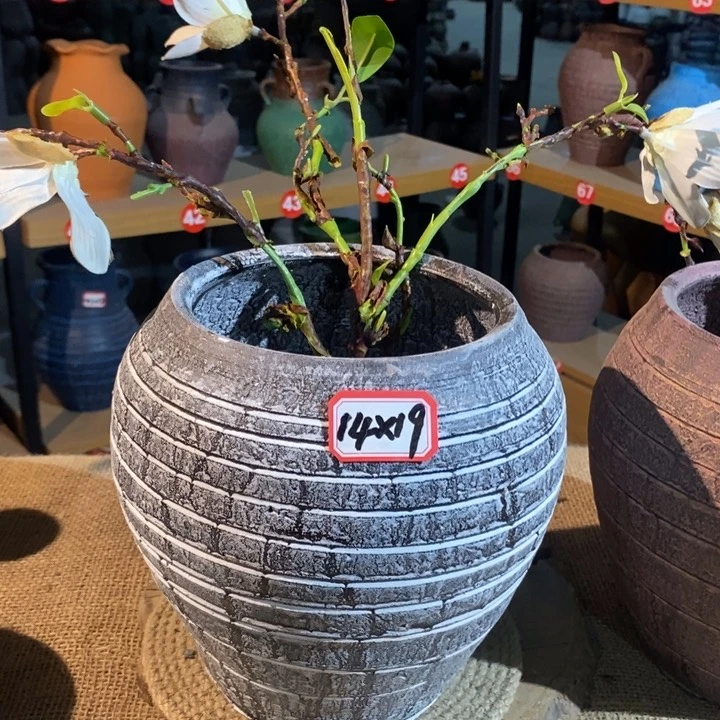 【闪购商品】孤品孤品