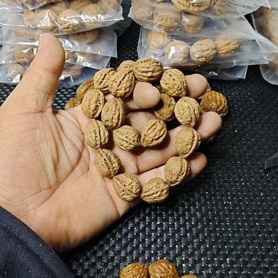 木质类纯野生山核桃        28