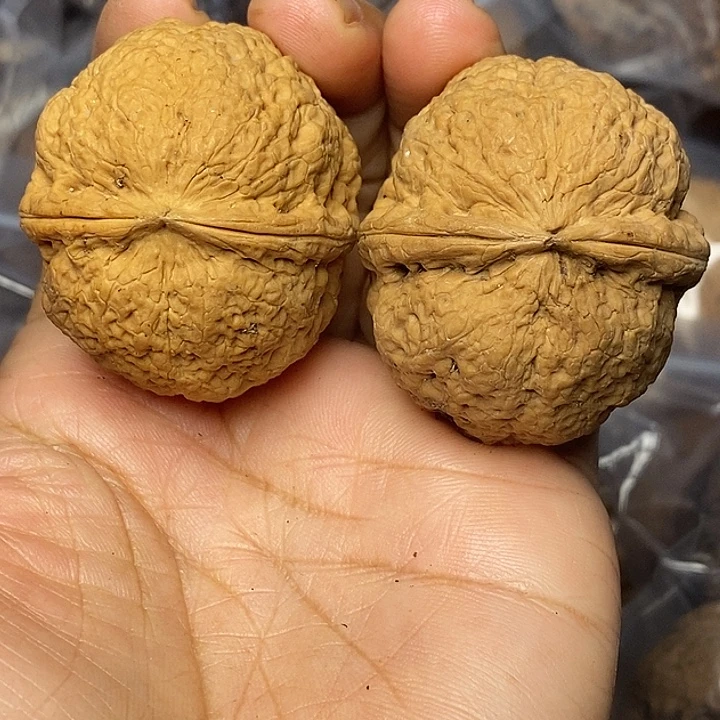 把件文玩核桃云南铁核桃8