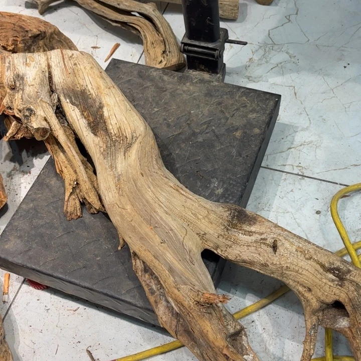 香榧木乔*太行崖柏陈化香料