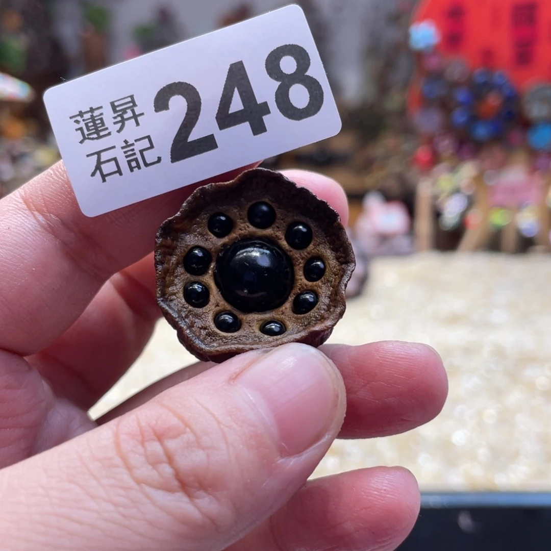 核桃木/黑胡桃（胡桃木）?****248